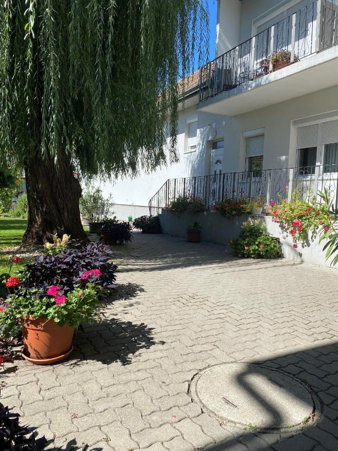 Gaestehaus & Weingut Klein Илмиц Екстериор снимка